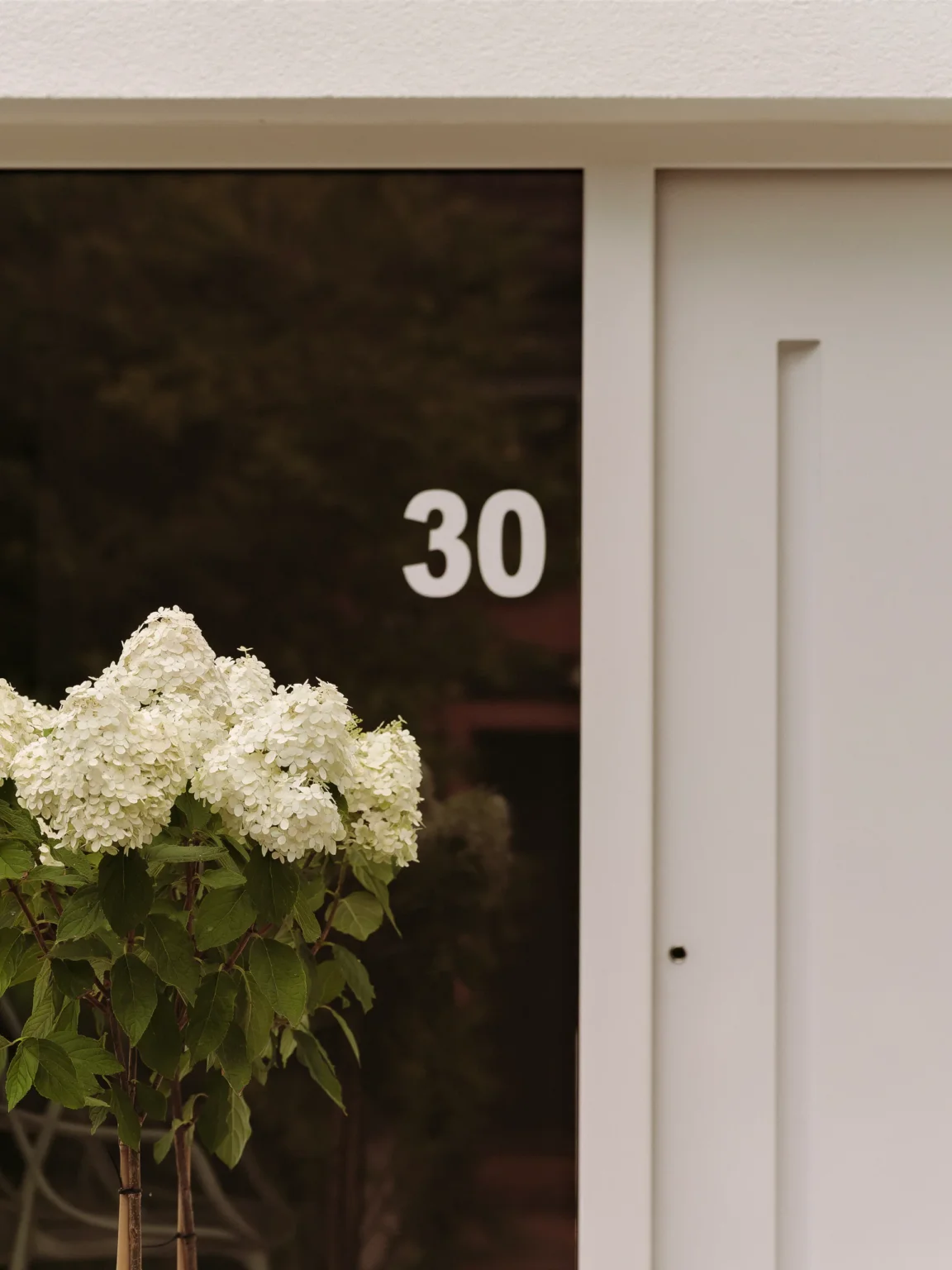 Hauseingang mit der Hausnummer 30, davor eine blühende Rispenhortensie