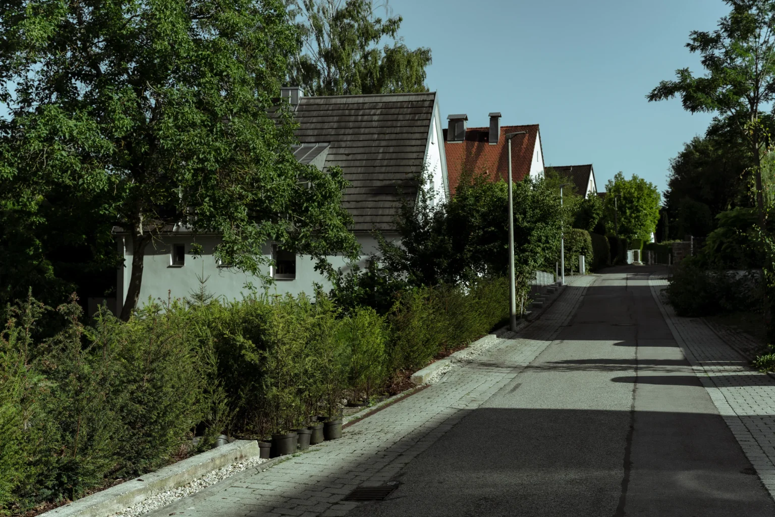 Anliegerstraße am Moniberg mit Einfamilienhäusern und altem Baumbestand